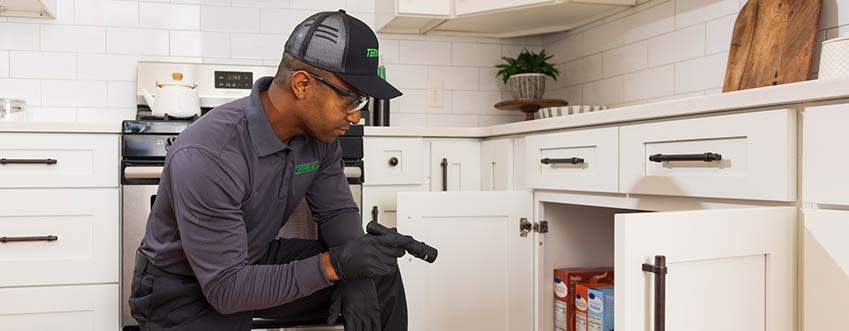 Termite inspection service